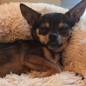 Meet your Posher, Gill